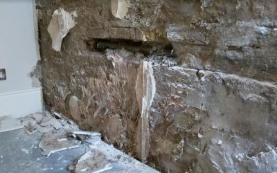 Why Dry Rot Treatment Should Be Done Immediately