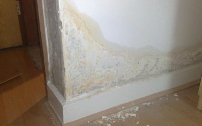 Damp Proofing – What Are the Different Types of Damp?